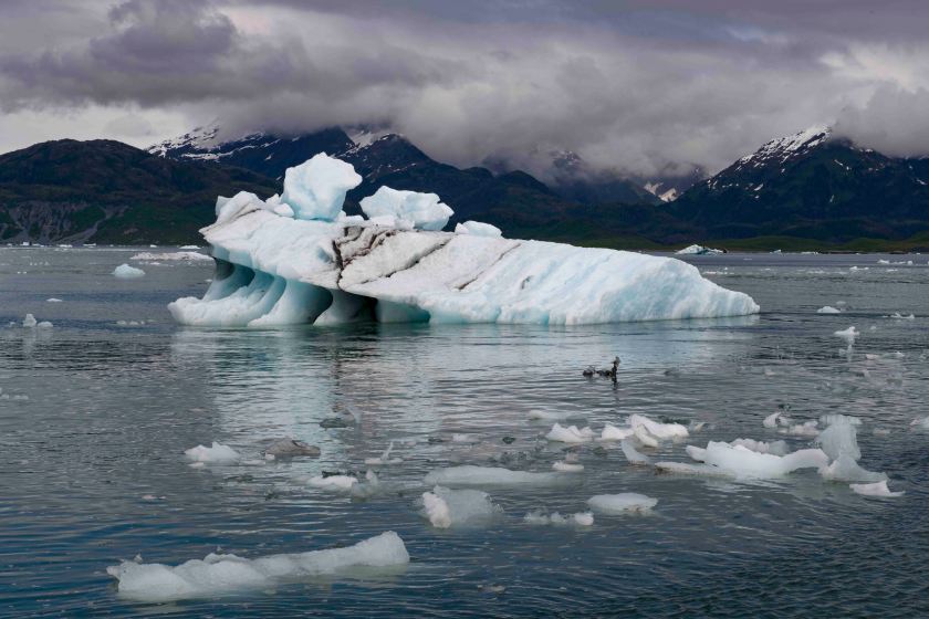 Heading towards Columbia Glacier
