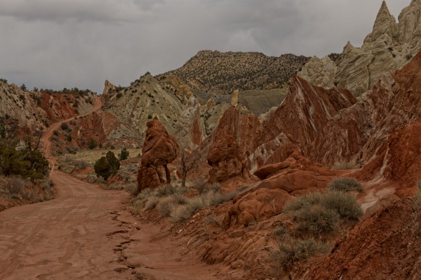 Cottonwood Canyon Road 1